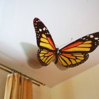 Фотопечать бабочка зал 15м²