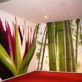 Натяжные стены с фотопечатью бамбук